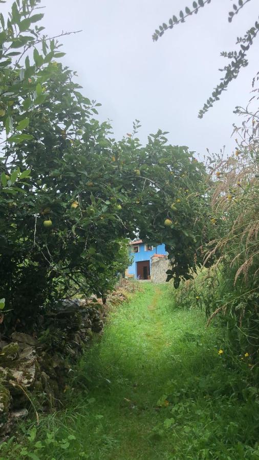 La Galayca Διαμέρισμα El Barcenal Εξωτερικό φωτογραφία