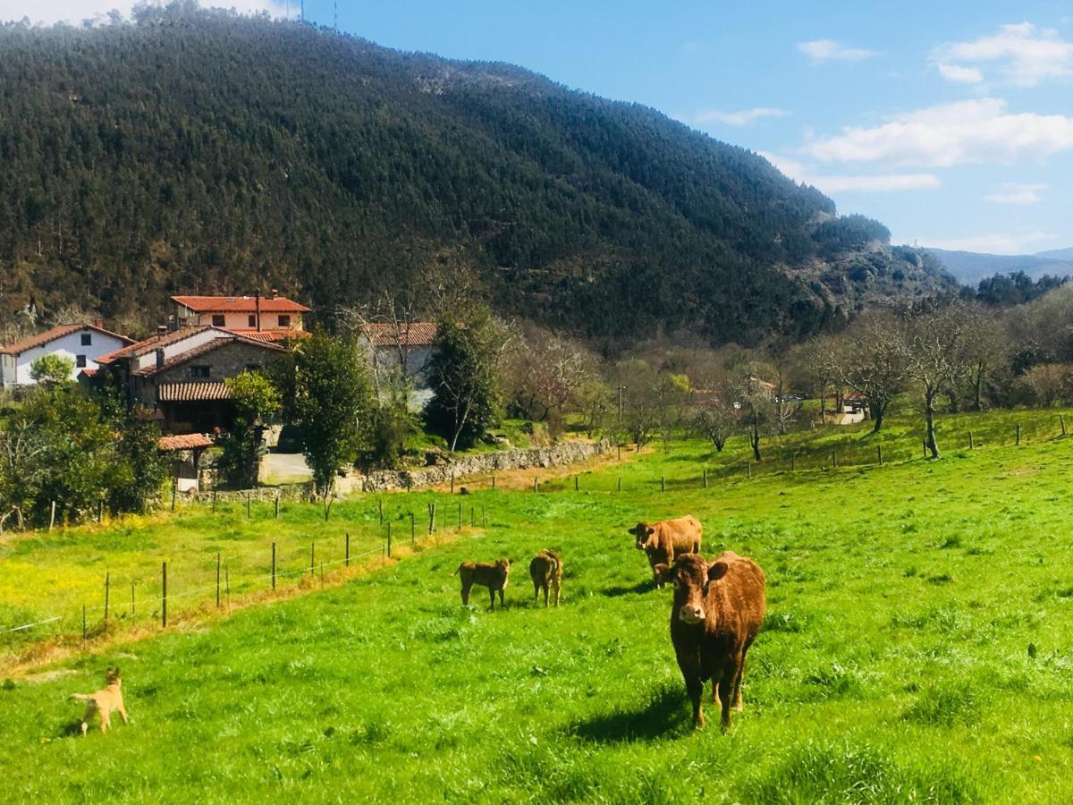 La Galayca Διαμέρισμα El Barcenal Εξωτερικό φωτογραφία