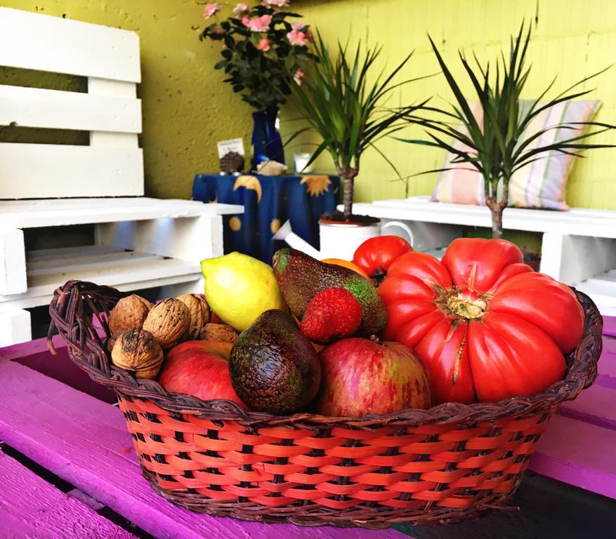 La Galayca Διαμέρισμα El Barcenal Εξωτερικό φωτογραφία
